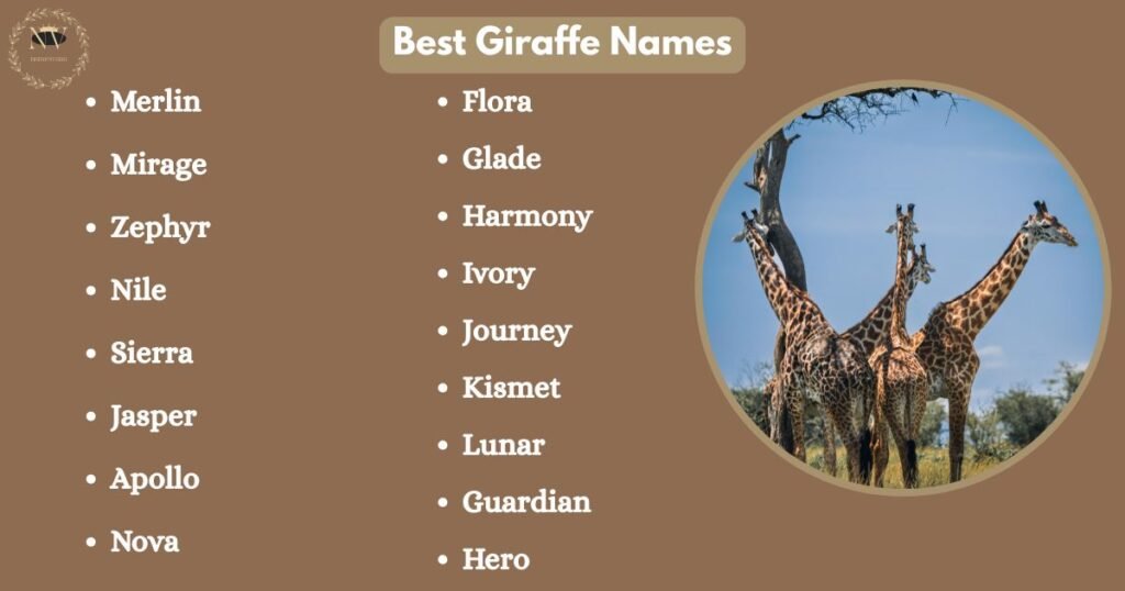 Best Giraffe Names