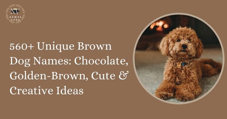 Brown Dog Names