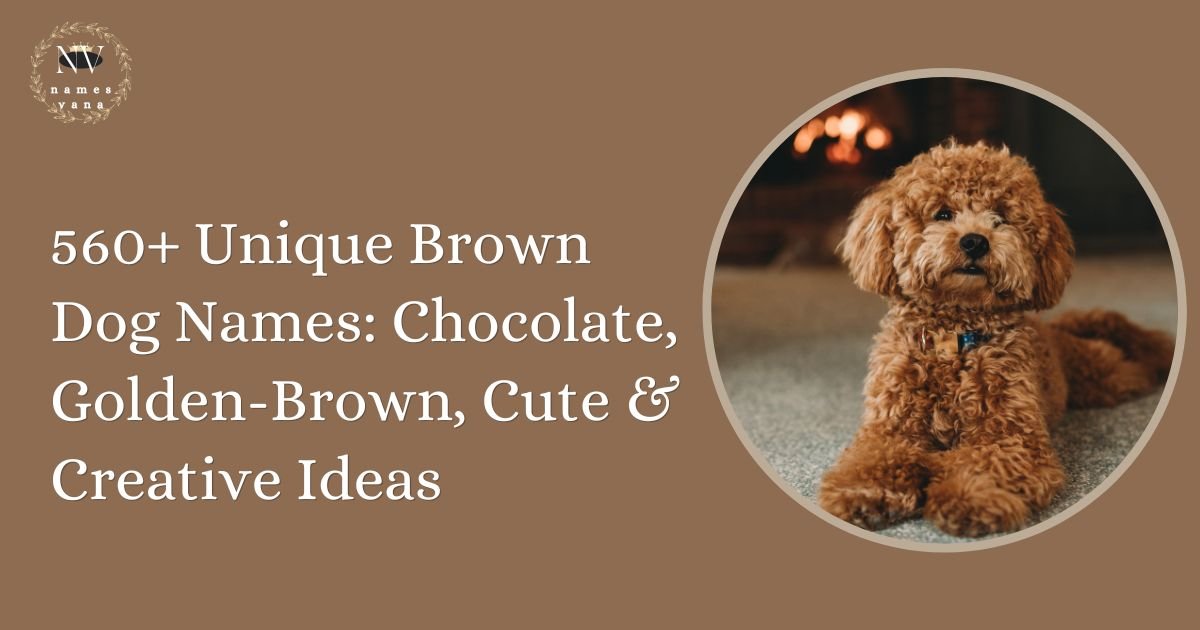 Brown Dog Names