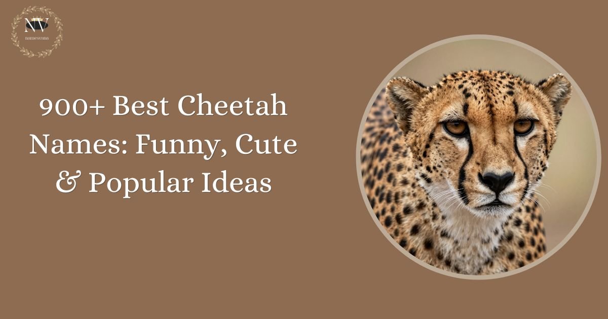 Cheetah Names