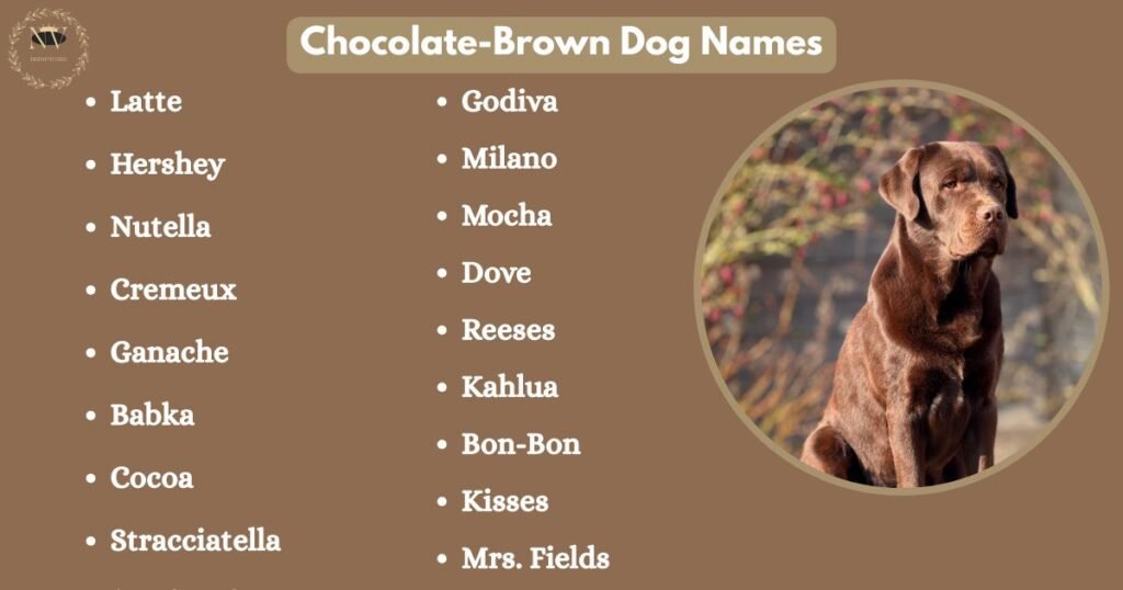 Chocolate-Brown Dog Names