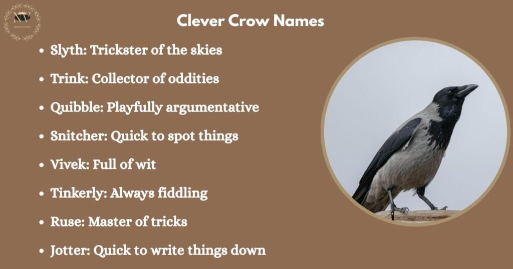 Clever Crow Names