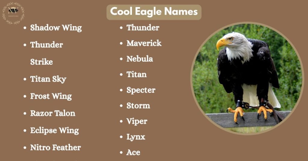 Cool Eagle Names