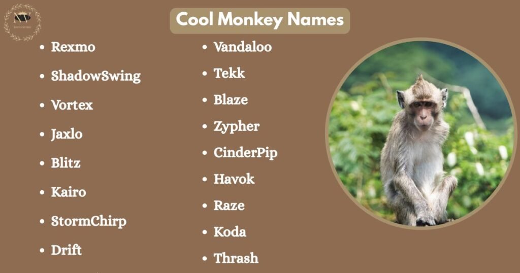 Cool Monkey Names