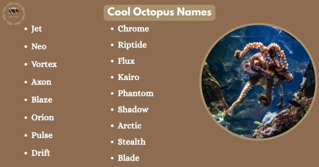 Cool Octopus Names