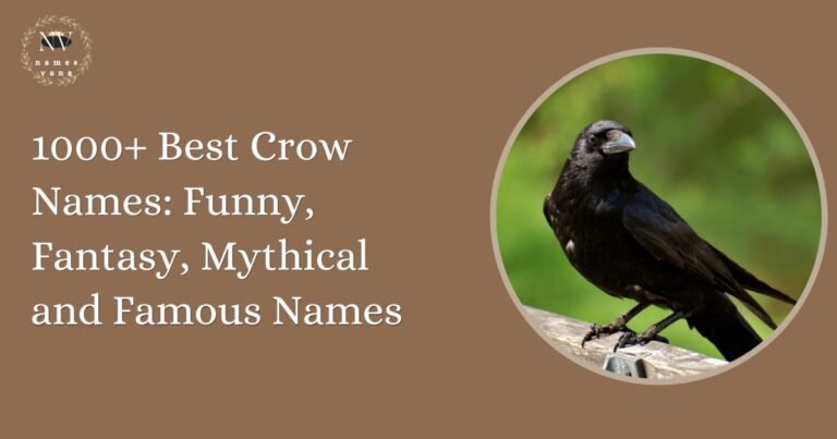 Crow Names