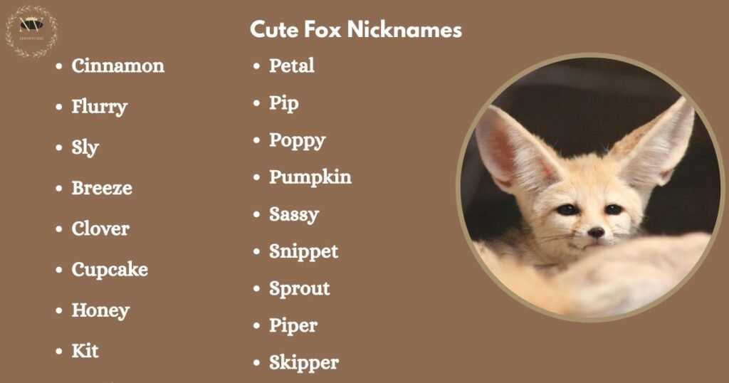 Cute Fox Nicknames