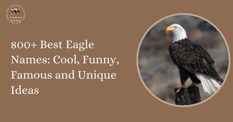 Eagle Names