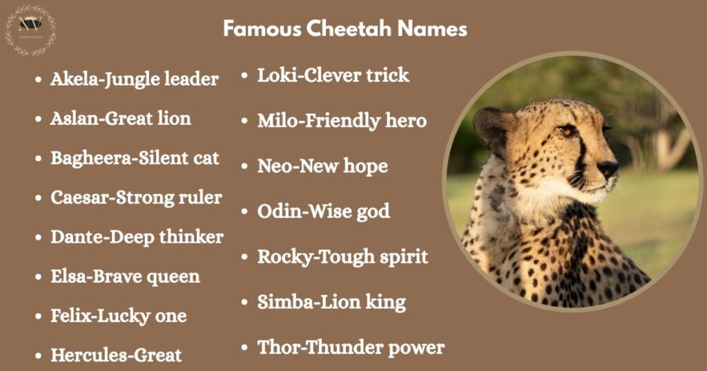 Famous Cheetah Names