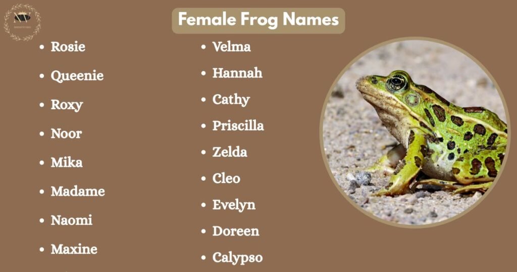 Female Frog Names