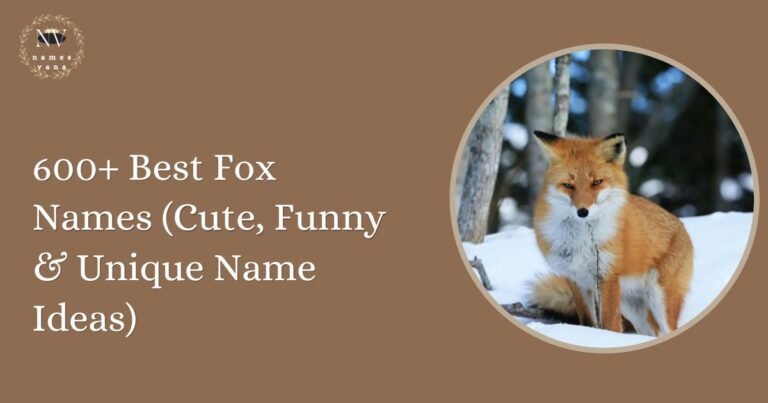Fox Names