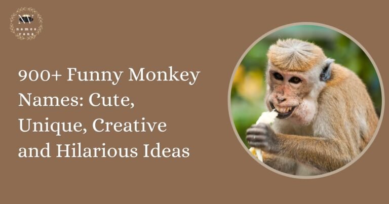 Funny Monkey Names