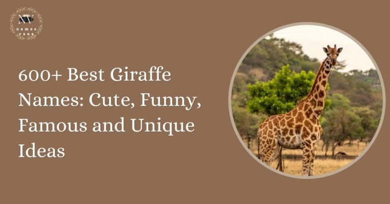 Giraffe Names