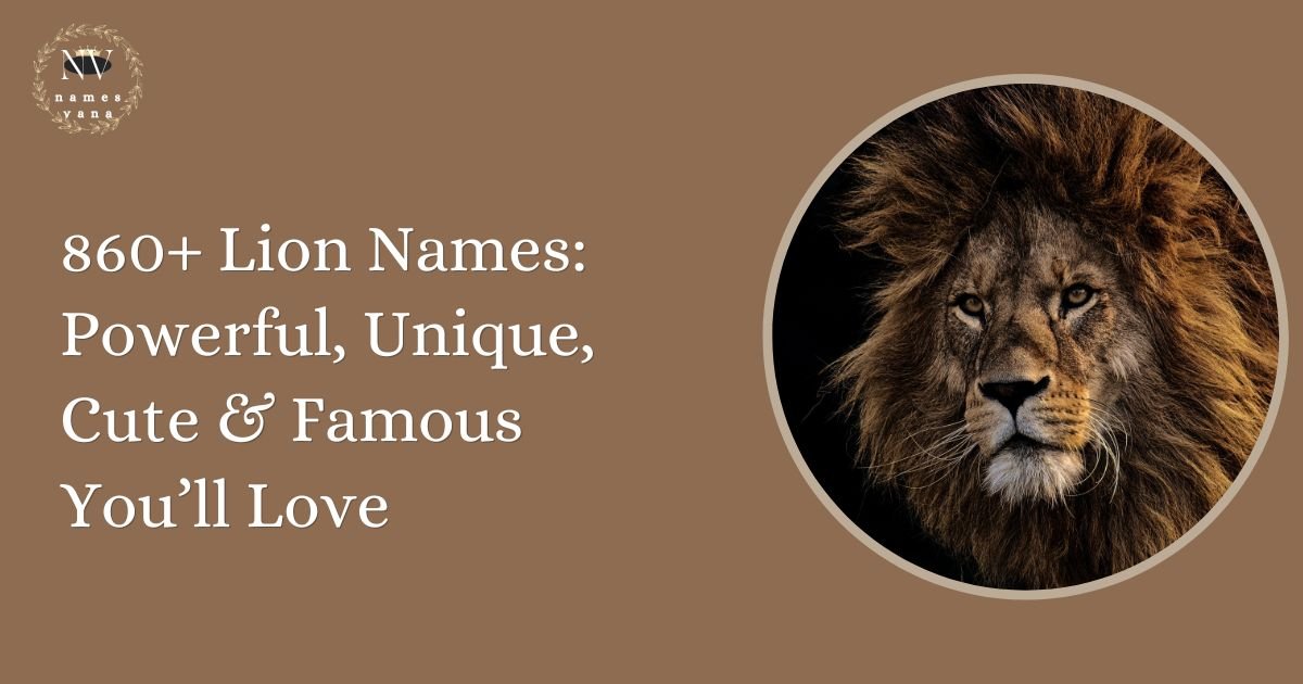 Lion Names