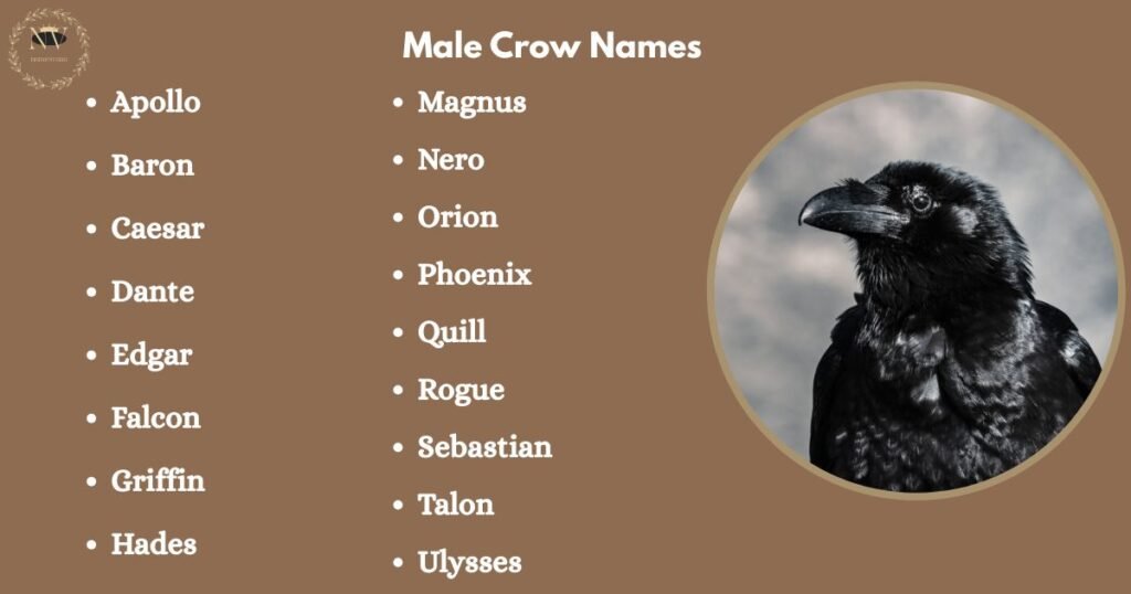 Male Crow Names