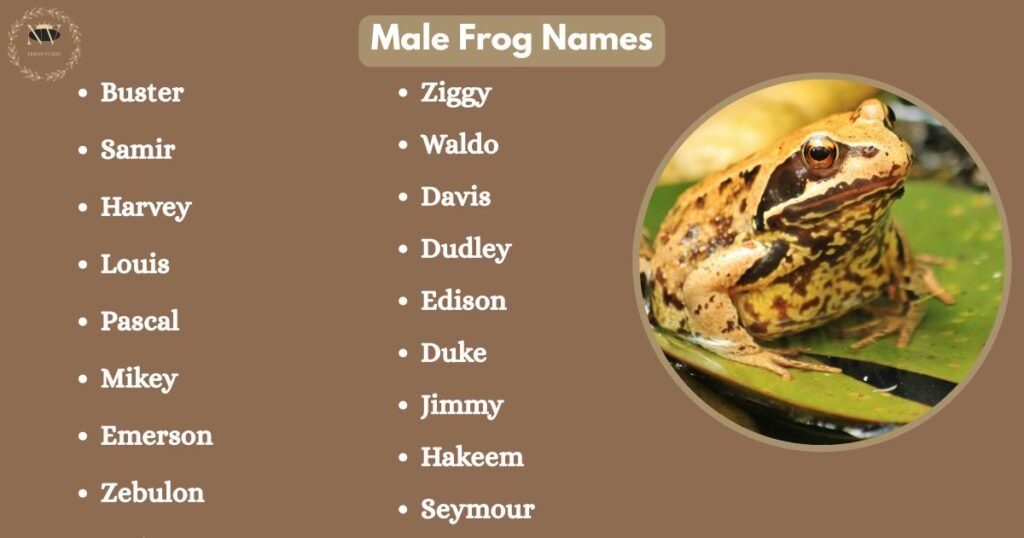 Male Frog Names