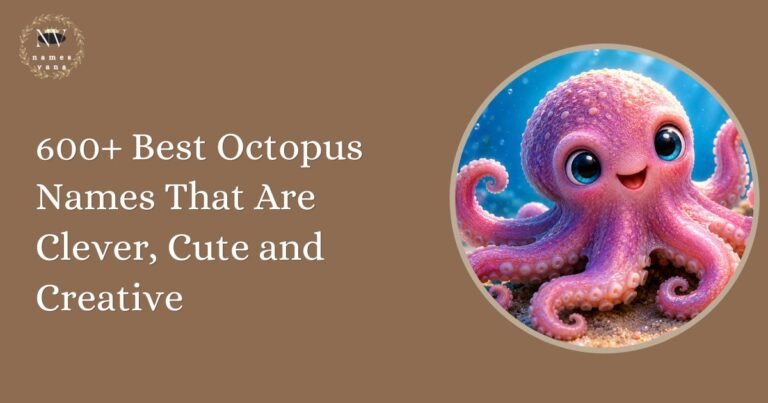 Octopus Names