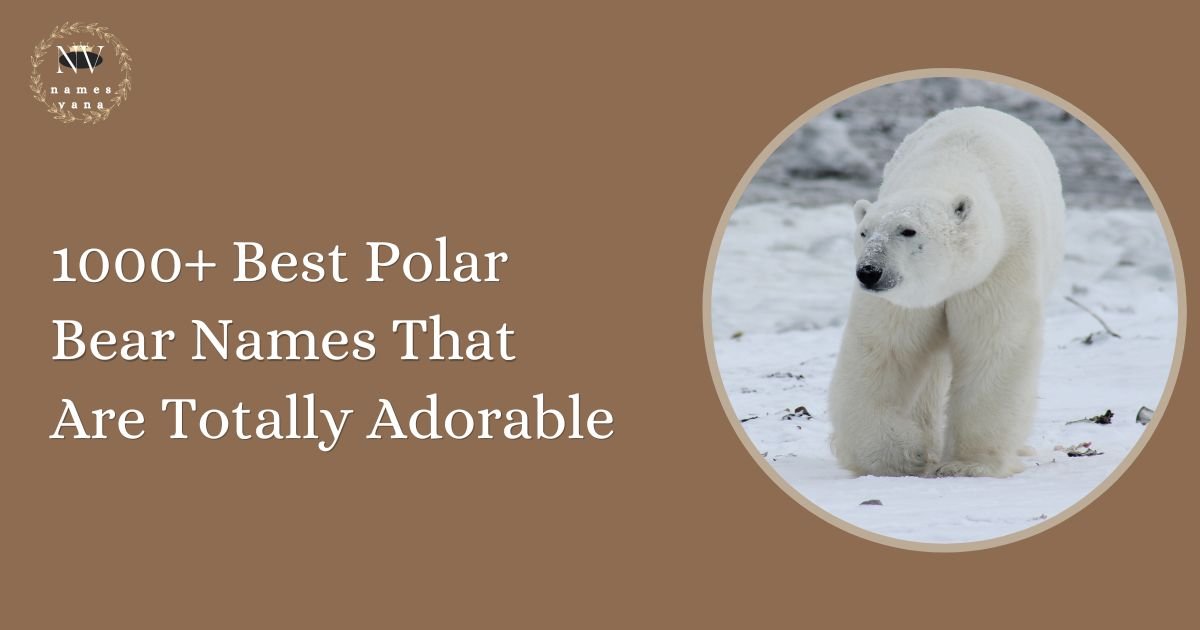 Polar Bear Names