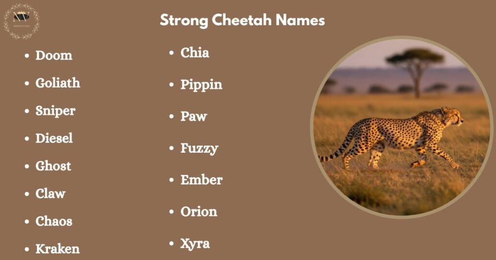 Strong Cheetah Names