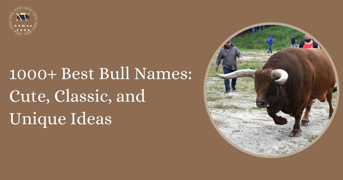 Best Bull Names