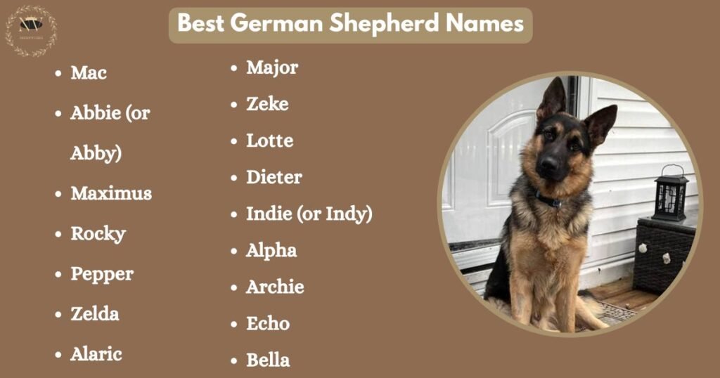 Best German Shepherd Names