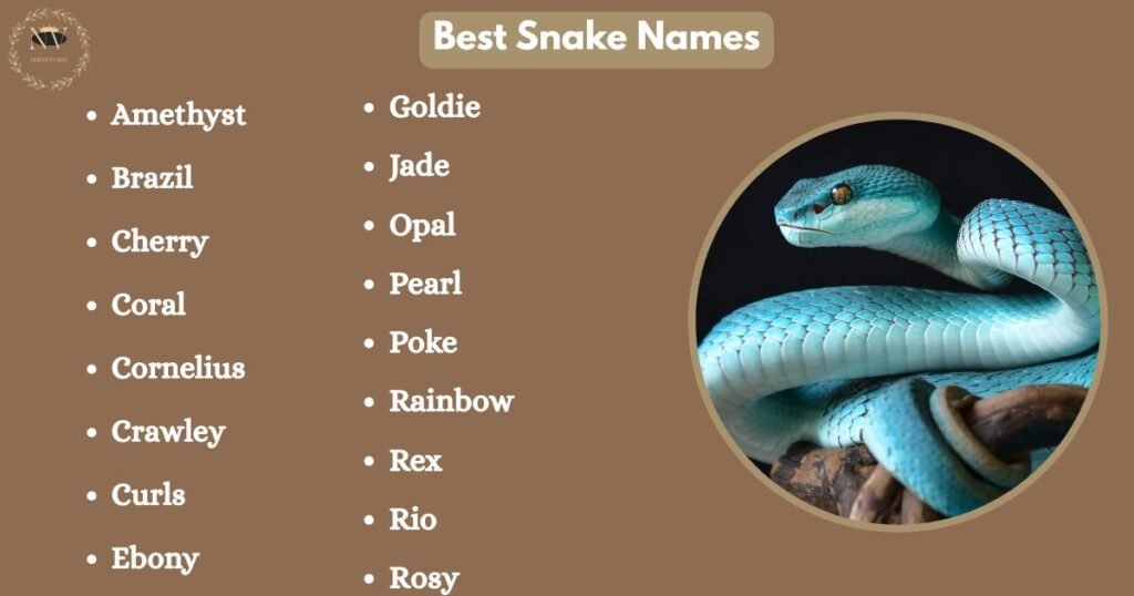 Best Snake Names