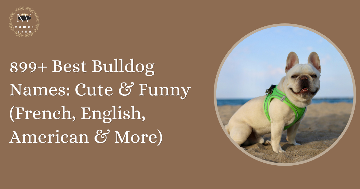 Bulldog Names