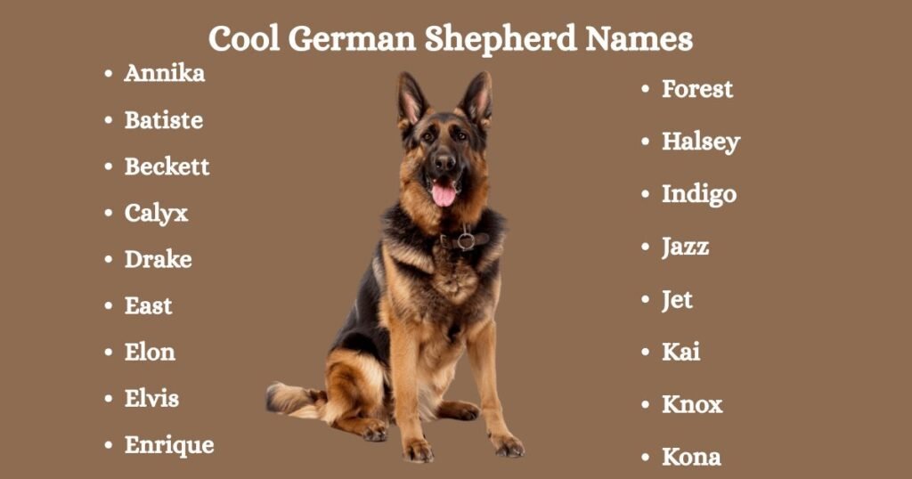 Cool German Shepherd Names
