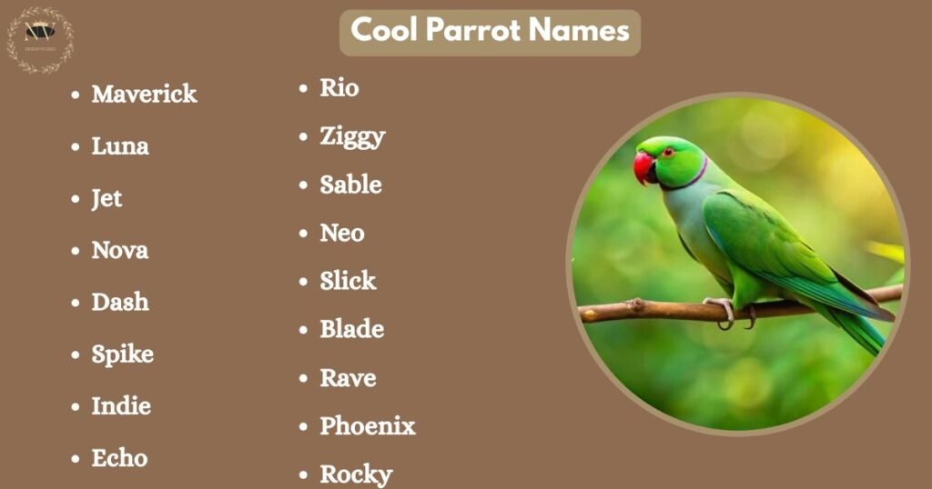 Cool Parrot Names
