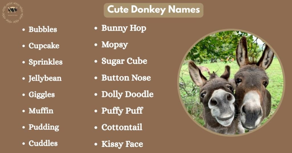 Cute Donkey Names