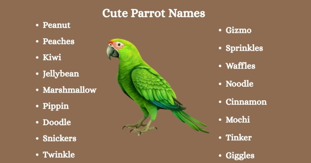 Cute Parrot Names