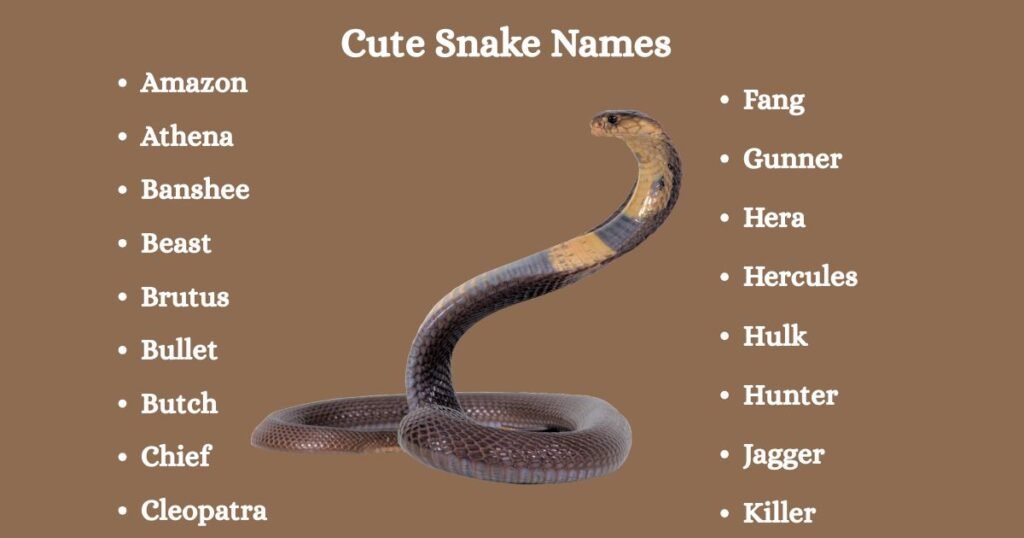 Cute Snake Names