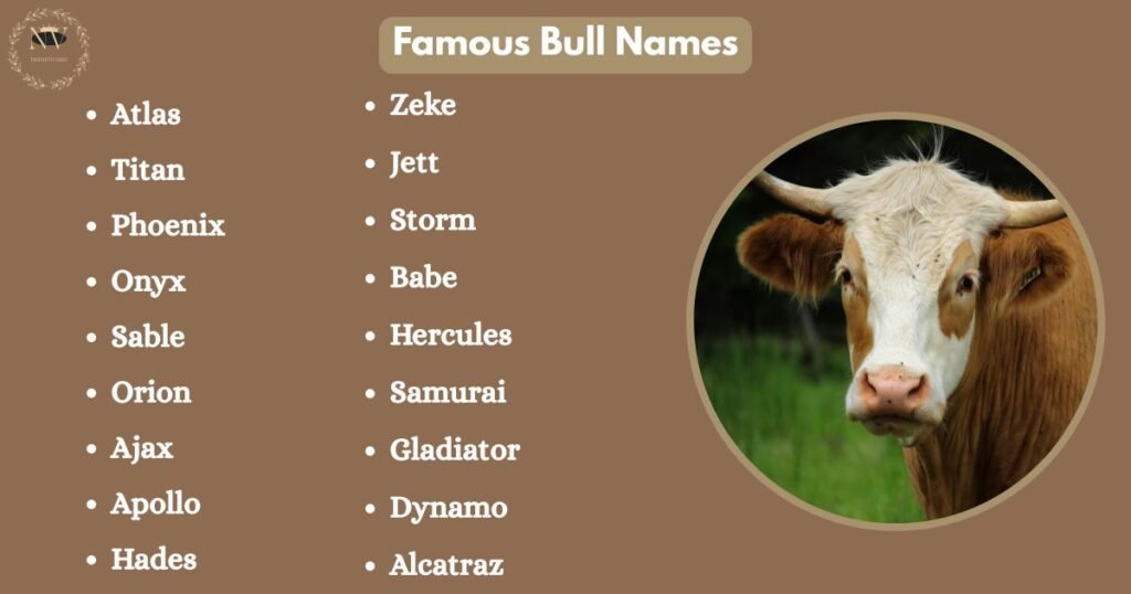 Famous Bull Names