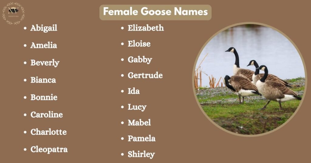 Female Goose Names