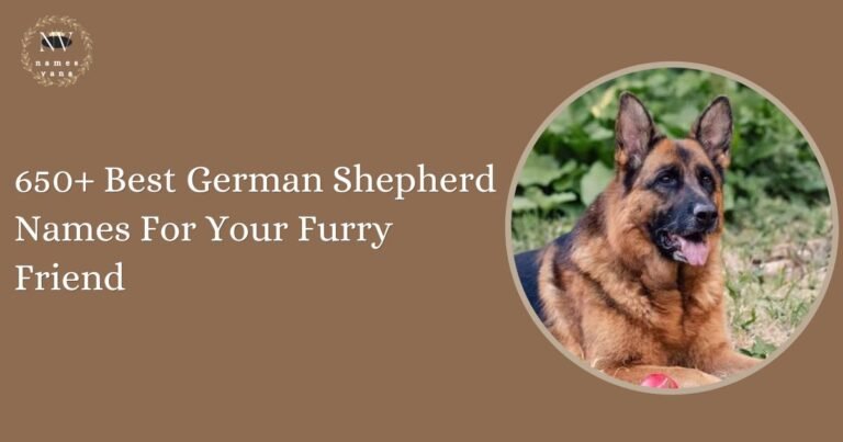 German Shepherd Names