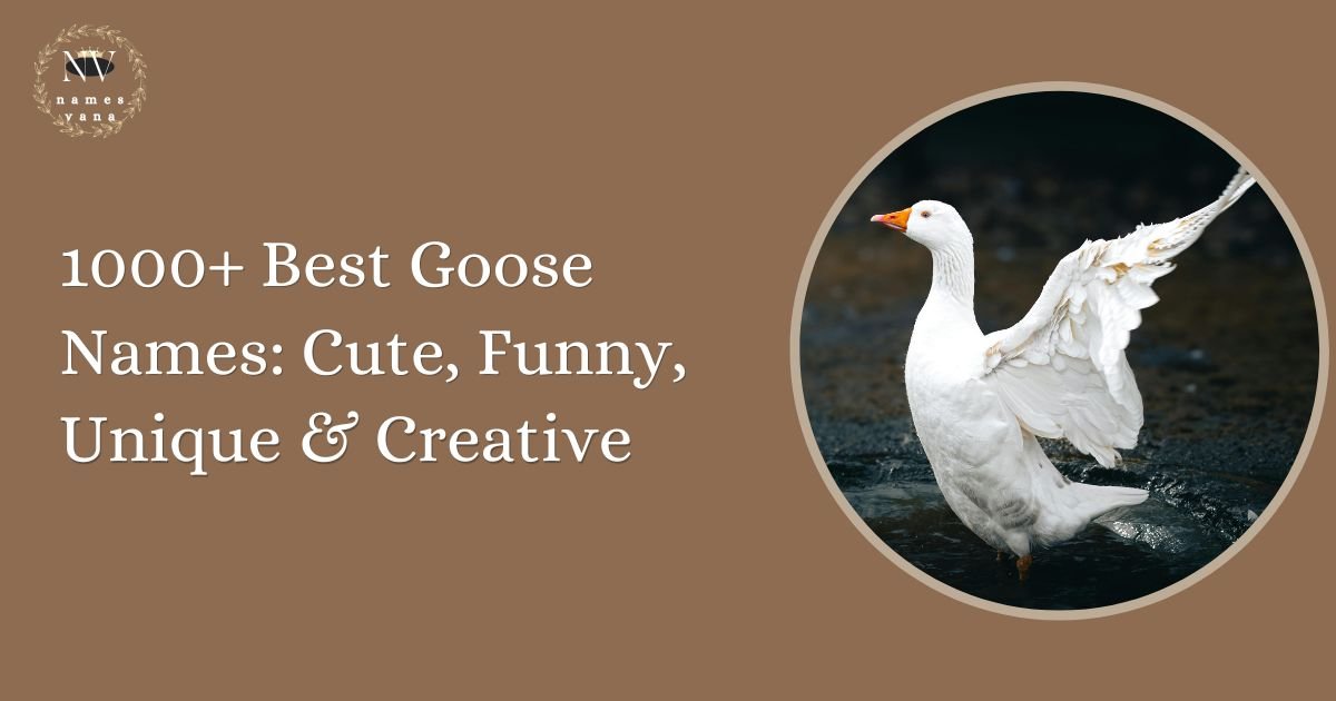 Goose Names