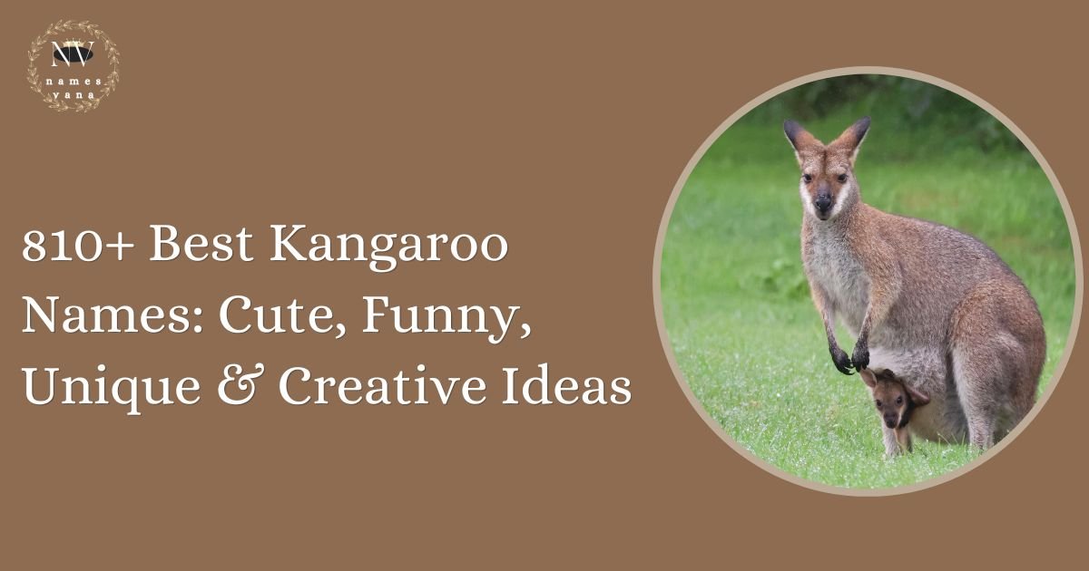 Kangaroo Names