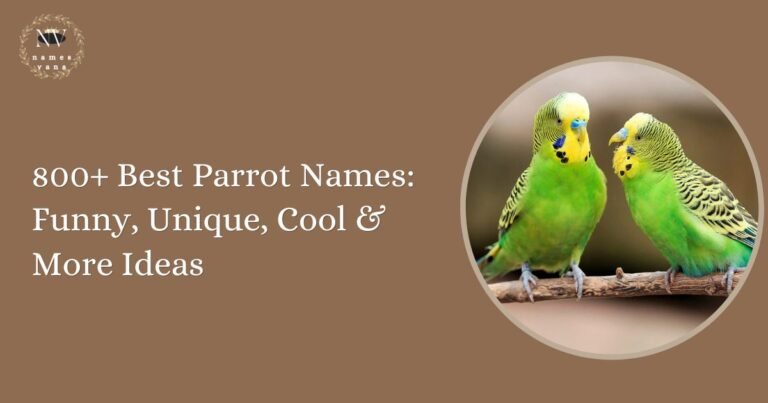 Parrot Names