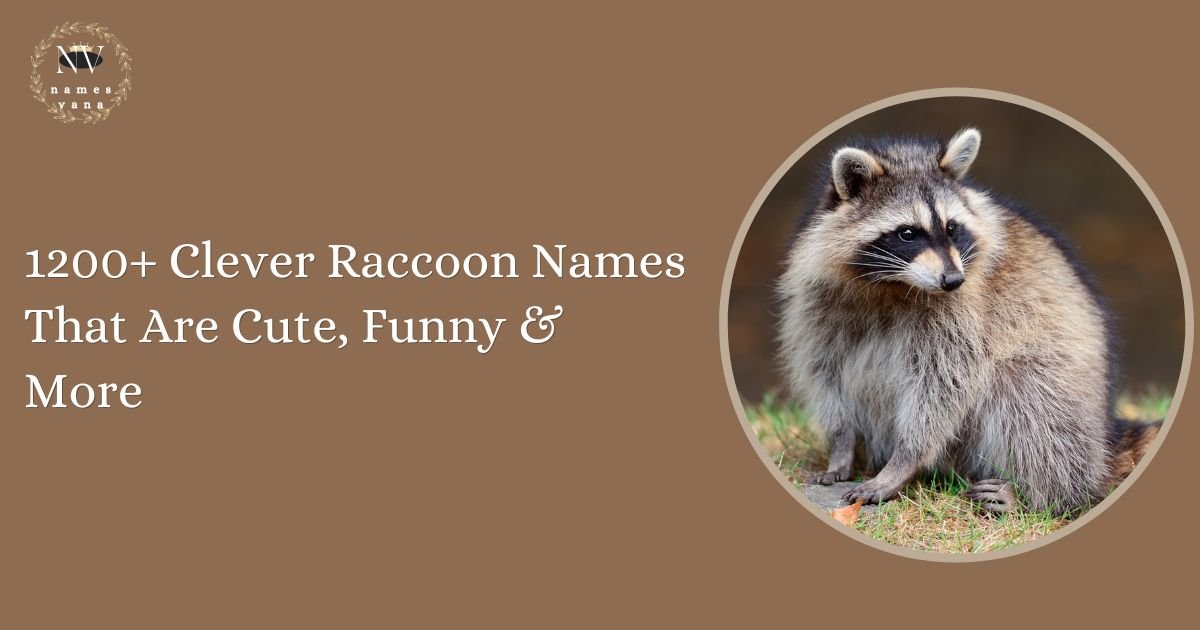 Raccoon Names