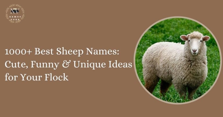 Sheep Names