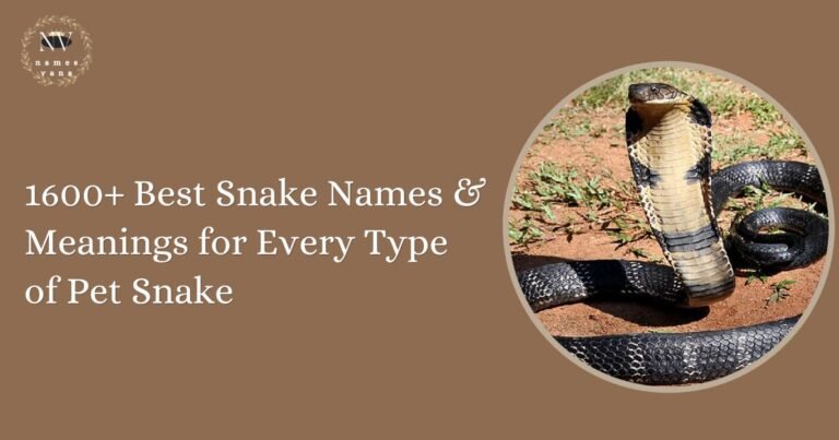 Snake Names