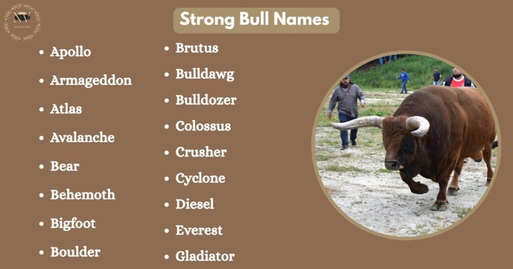 Strong Bull Names