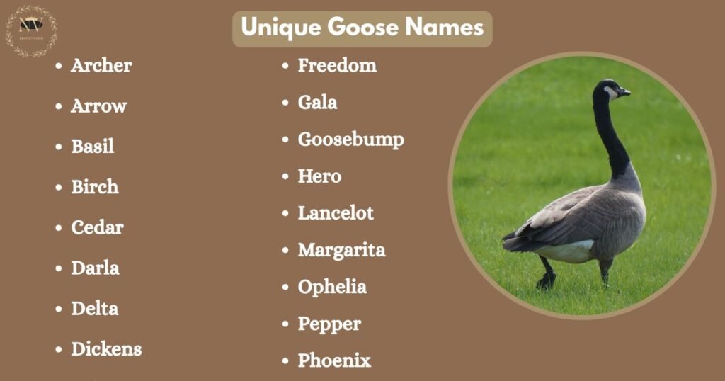 Unique Goose Names