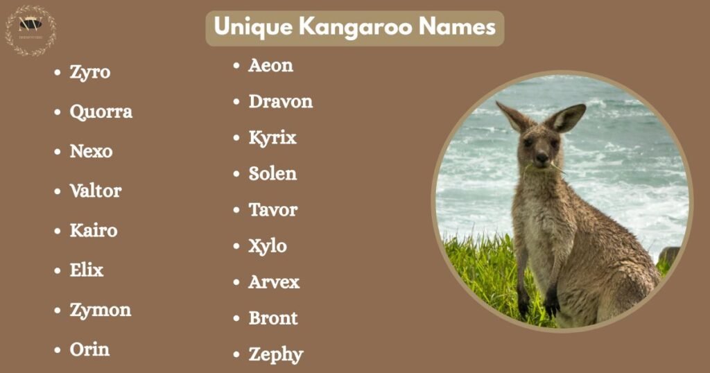 Unique Kangaroo Names