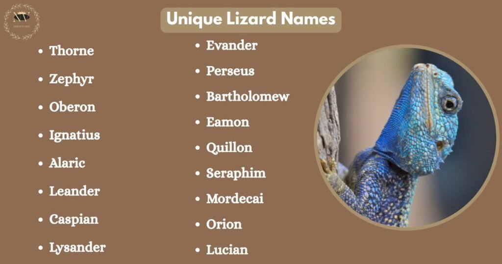 Unique Lizard Names