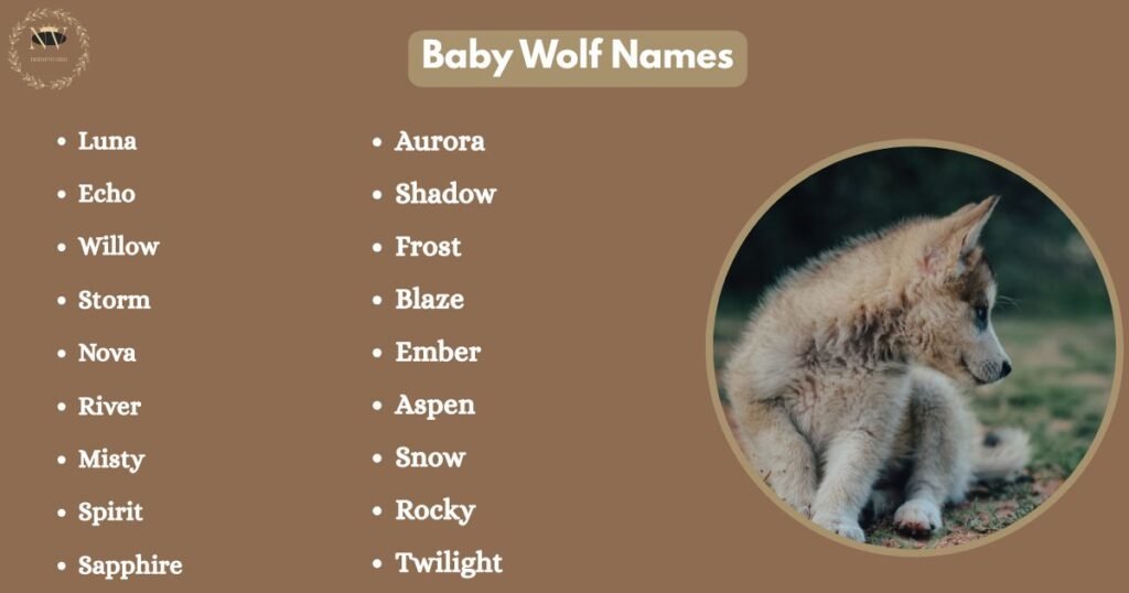Baby Wolf Names