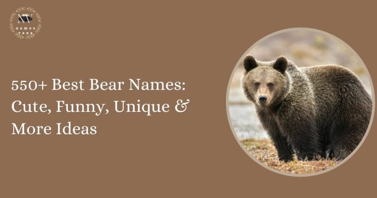 Bear Names