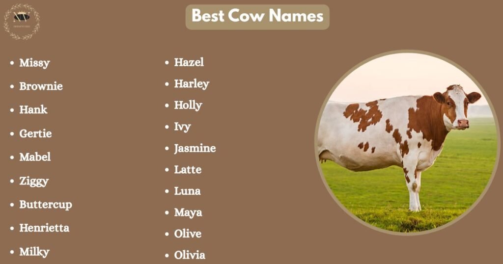 Best Cow Names