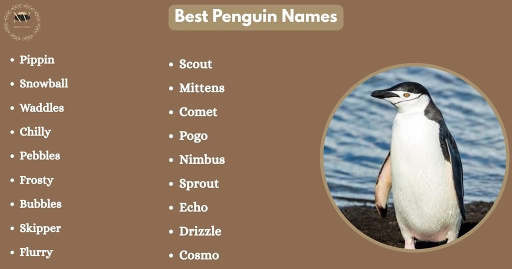 Best Penguin Names