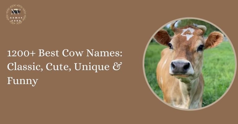 Cow Names